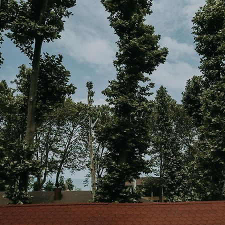 ホテル Platan シオーフォク エクステリア 写真